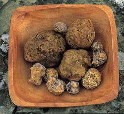 Трюфели!