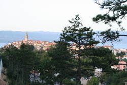 Город Врбник