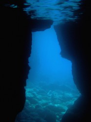 Дайв-сайт Neptune's ass :)