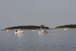 Морская рыбалка в Ровине