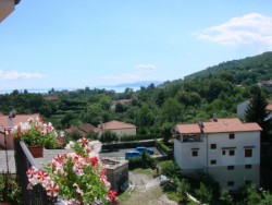 Вид