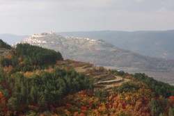 Село Штефаничи. Вид на Мотовун