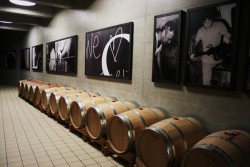 Деревянные бочки для старых вин