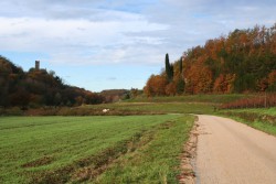Дорога в винадельню Козлович