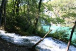 Плитвицкие озера. Лесной поток