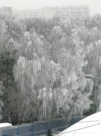 А у нас в Гадюкино...