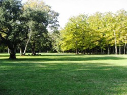 Парк Шиянска Шума