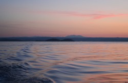 Утро в Ровине