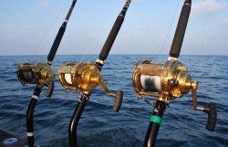 Идеальные тунцовые удилища