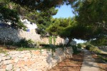 Lošinj. Прогулочная дорожка 