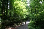 Risnjak. Прогулочная дорожка