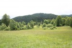 Risnjak. Горный луг