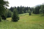 Risnjak. Горный луг